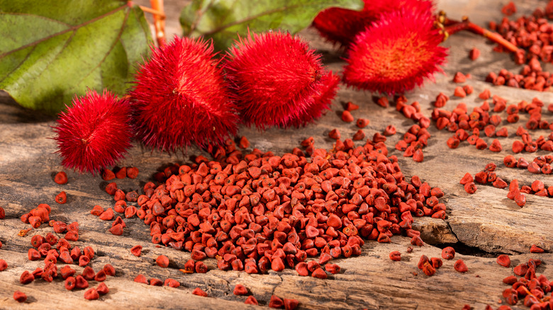Annatto seeds and achiote fruits