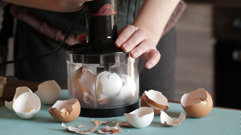A person pulverizing eggshells in a small food processor