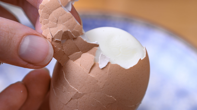 A closeup of a person peeling the shell off a hard boiled egg