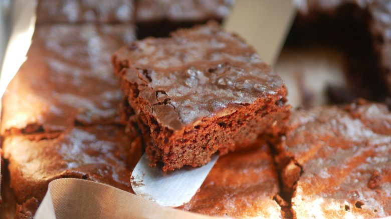 homemade chocolate brownies