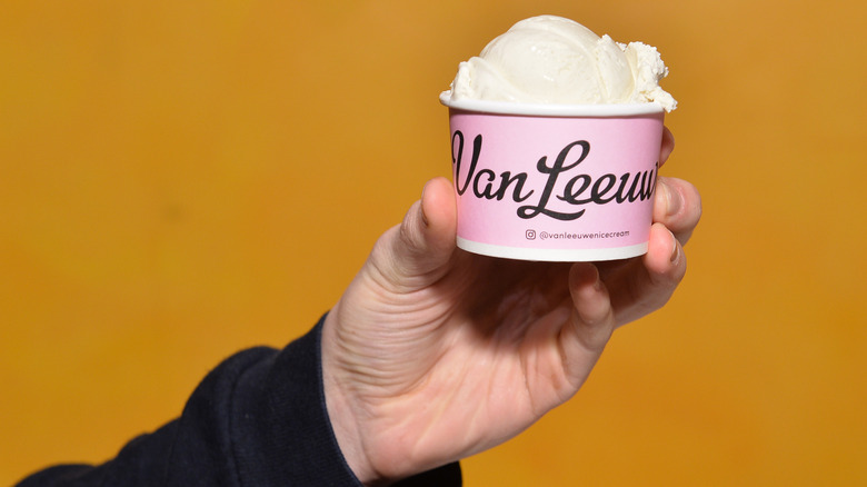hand holding Van Leeuwen ice cream