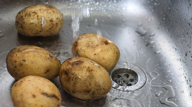 cleaning potatoes in sink