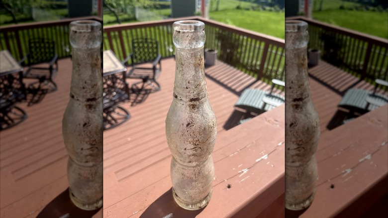 Mirrored image of old NuGrape Soda bottle in a garden