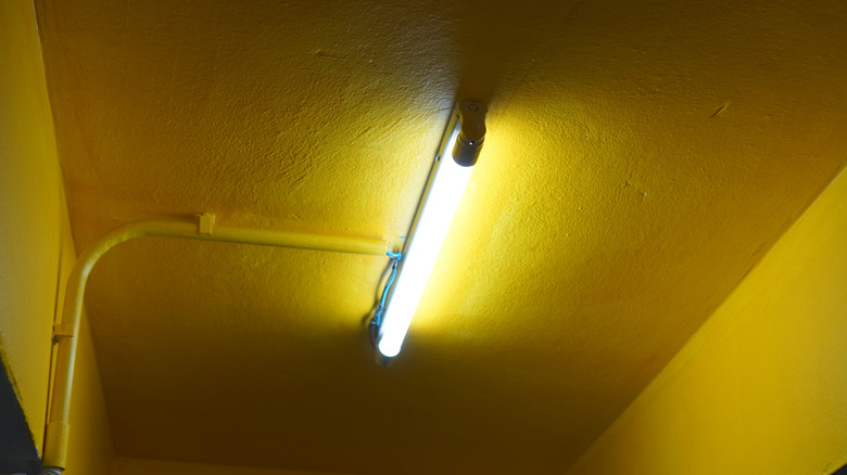 A fluorescent lamp in a corridor