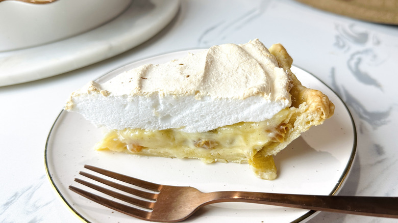 Slice of sour cream raisin pie on plate
