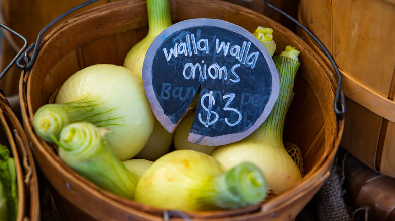 Walla Walla onions in basket 