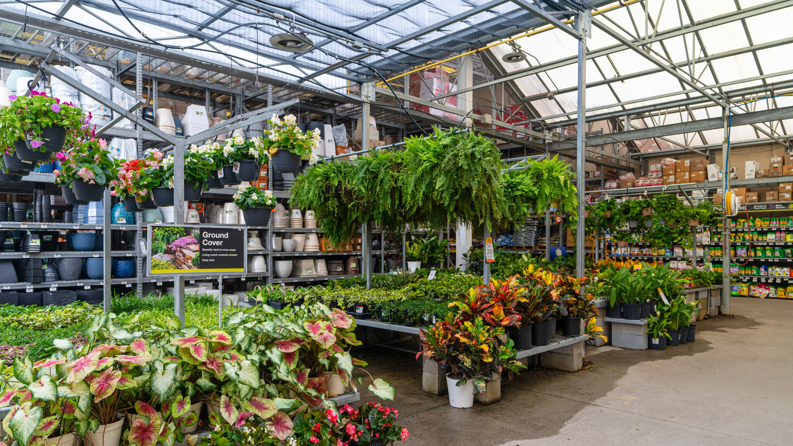 This Walmart Planter Is A Best-Seller That Belongs In Your Veggie Garden