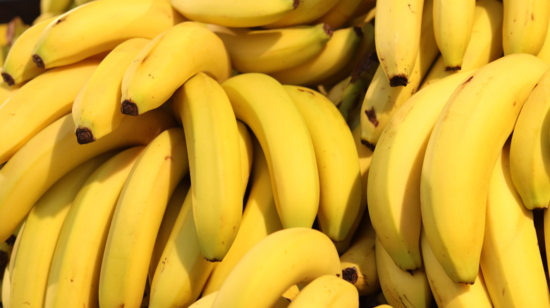 Bunches of ripe yellow bananas