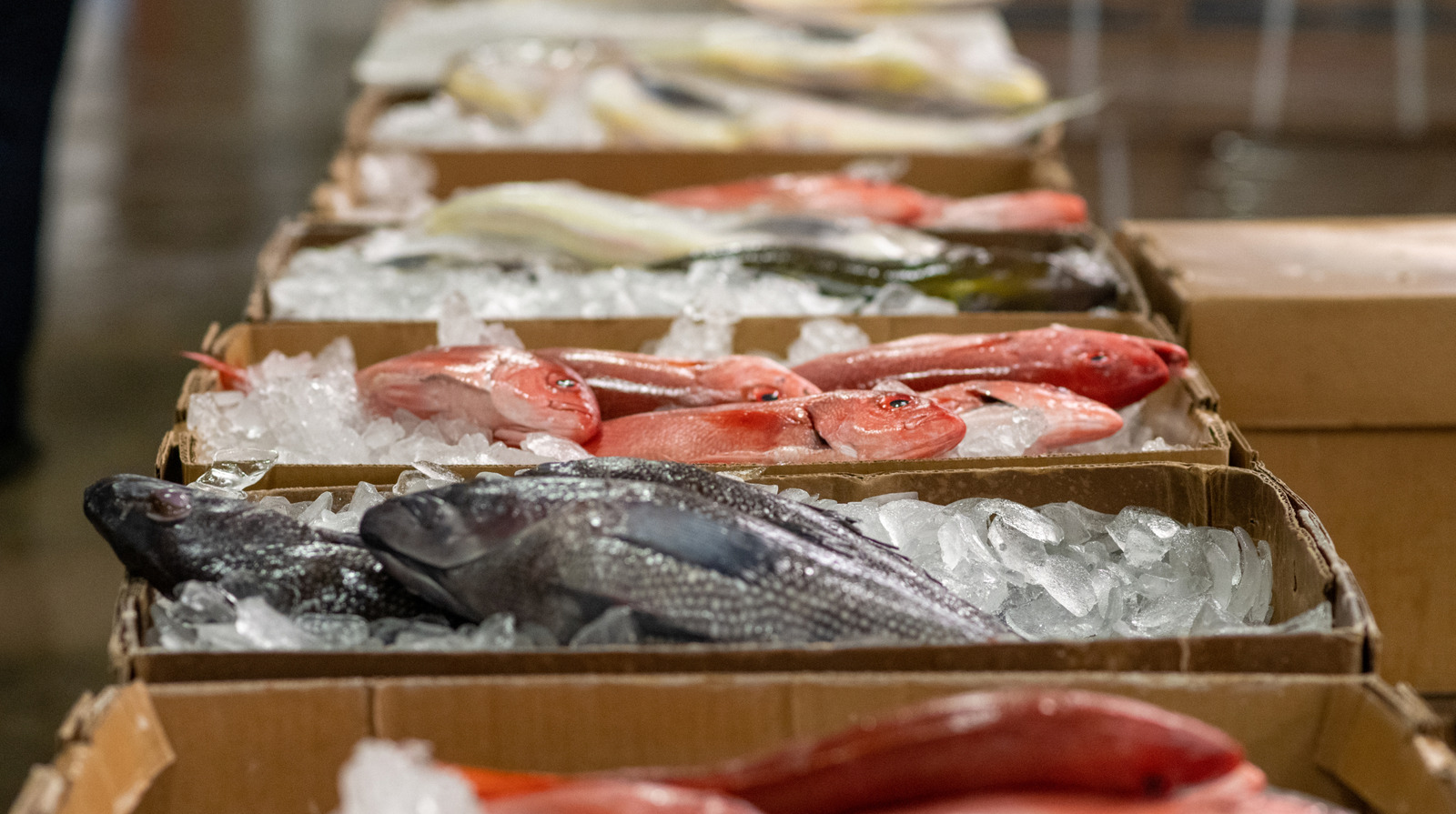 Watch Out For These 7 Red Flags When Buying Fish And Seafood - Tasting Table