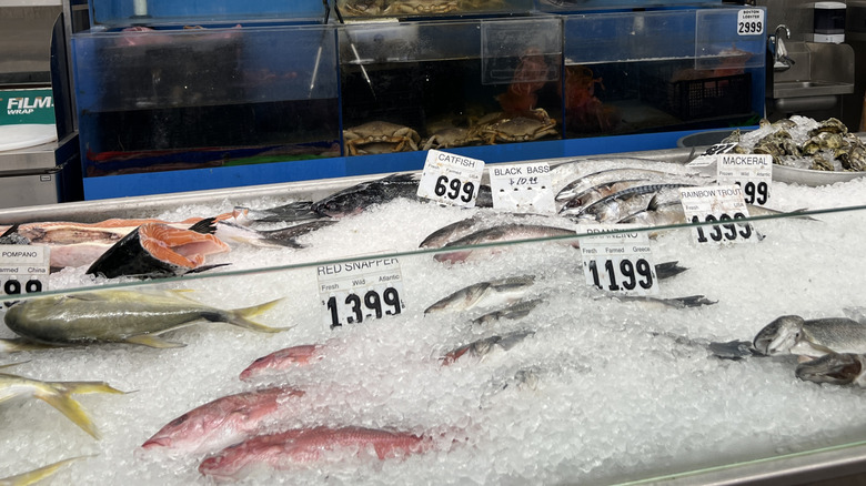 fresh whole fish on ice in a display case