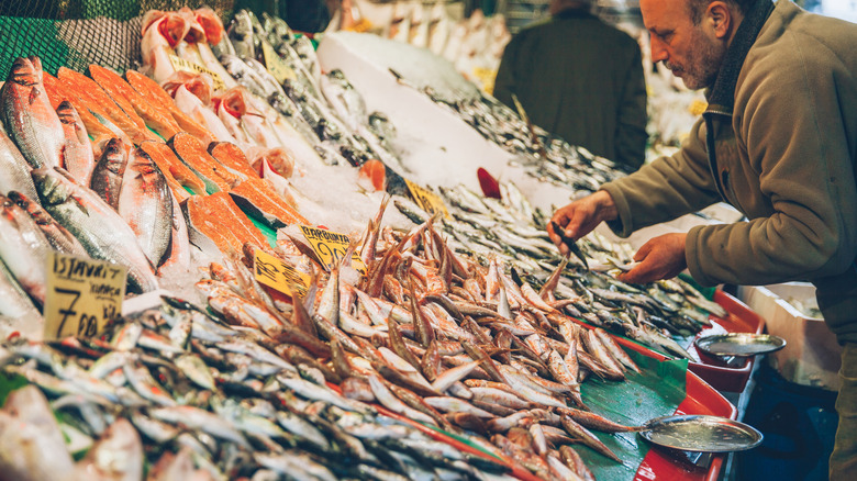 man at a market looking over a display of fresh fish