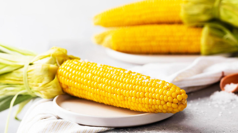 Boiled corn cob
