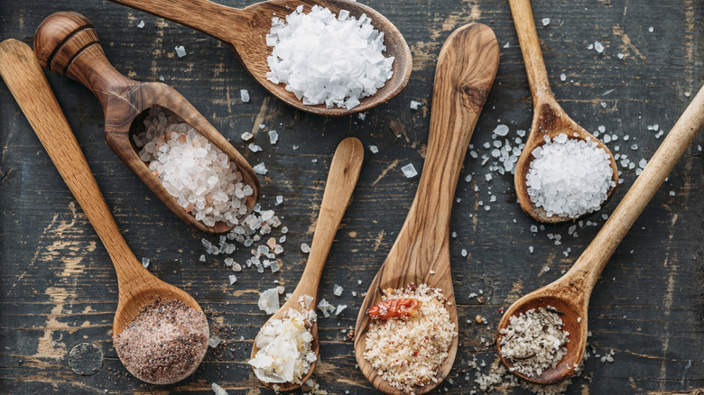 Different types of salt on wooden spoons