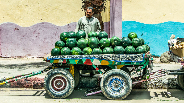 Watermelon vendor in Egypt