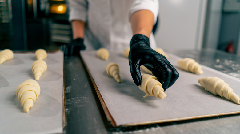 Gloved bakery employee filling sheet pans with ready-to-bake croissants