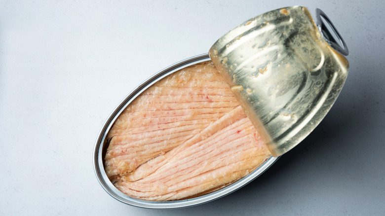 Canned tuna on white table