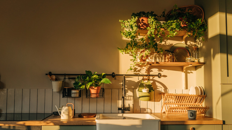 Kitchen with soft natural light
