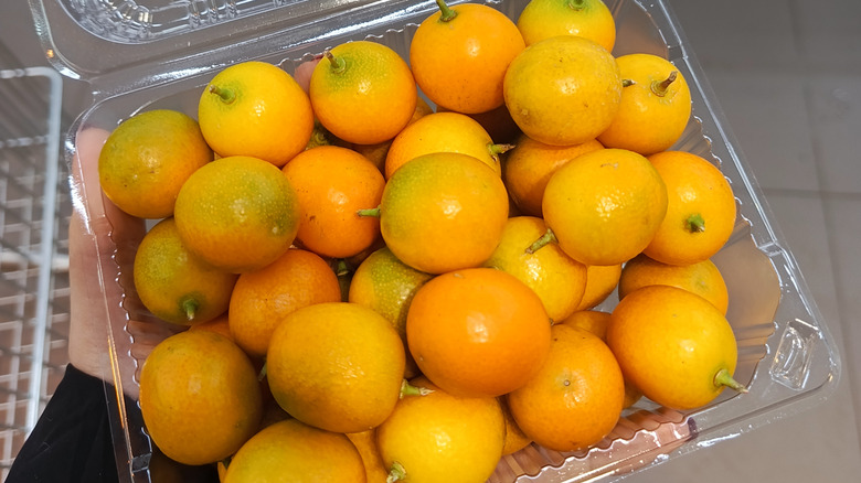 Trader Joe's Kumquats in a plastic container.