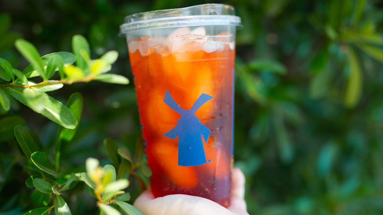 Dutch Bros plastic cup with blue windmill logo, filled with an iced drink, against greenery