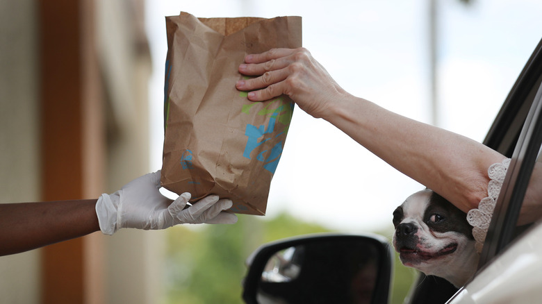 bag of Taco Bell food being handed from a drive thru to a customer in a car with a Boston terrier poking its head out the window