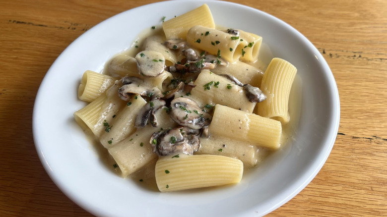 Creamy mushroom sauce with rigatoni pasta