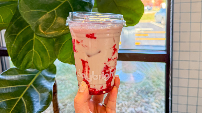 Daybright La-Tea-Da in-hand