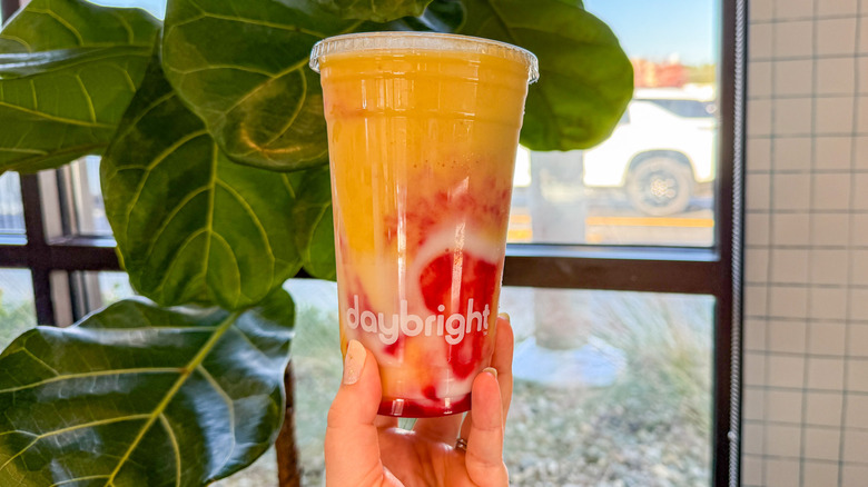 Daybright Sun Cruiser in-hand