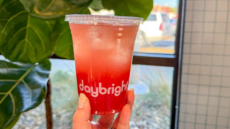 Daybright Watermelon Fizz in-hand