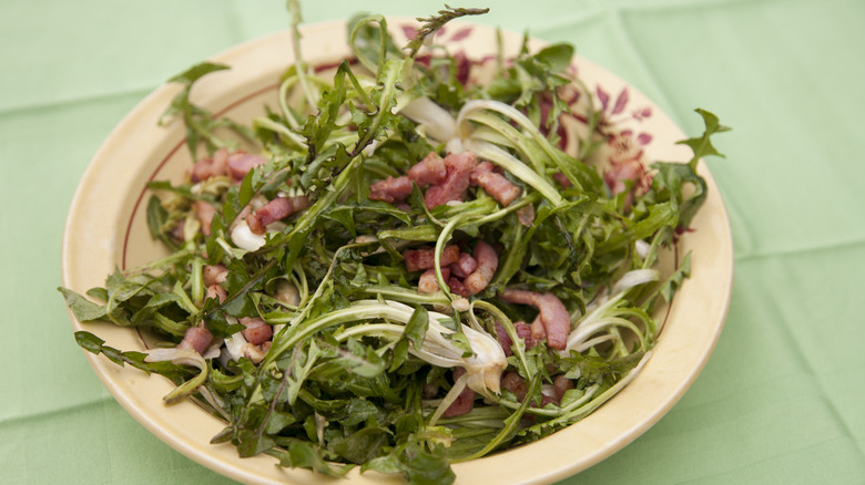 Dandelion salad with bacon