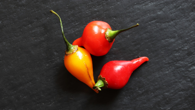 Red and yellow biquinho peppers