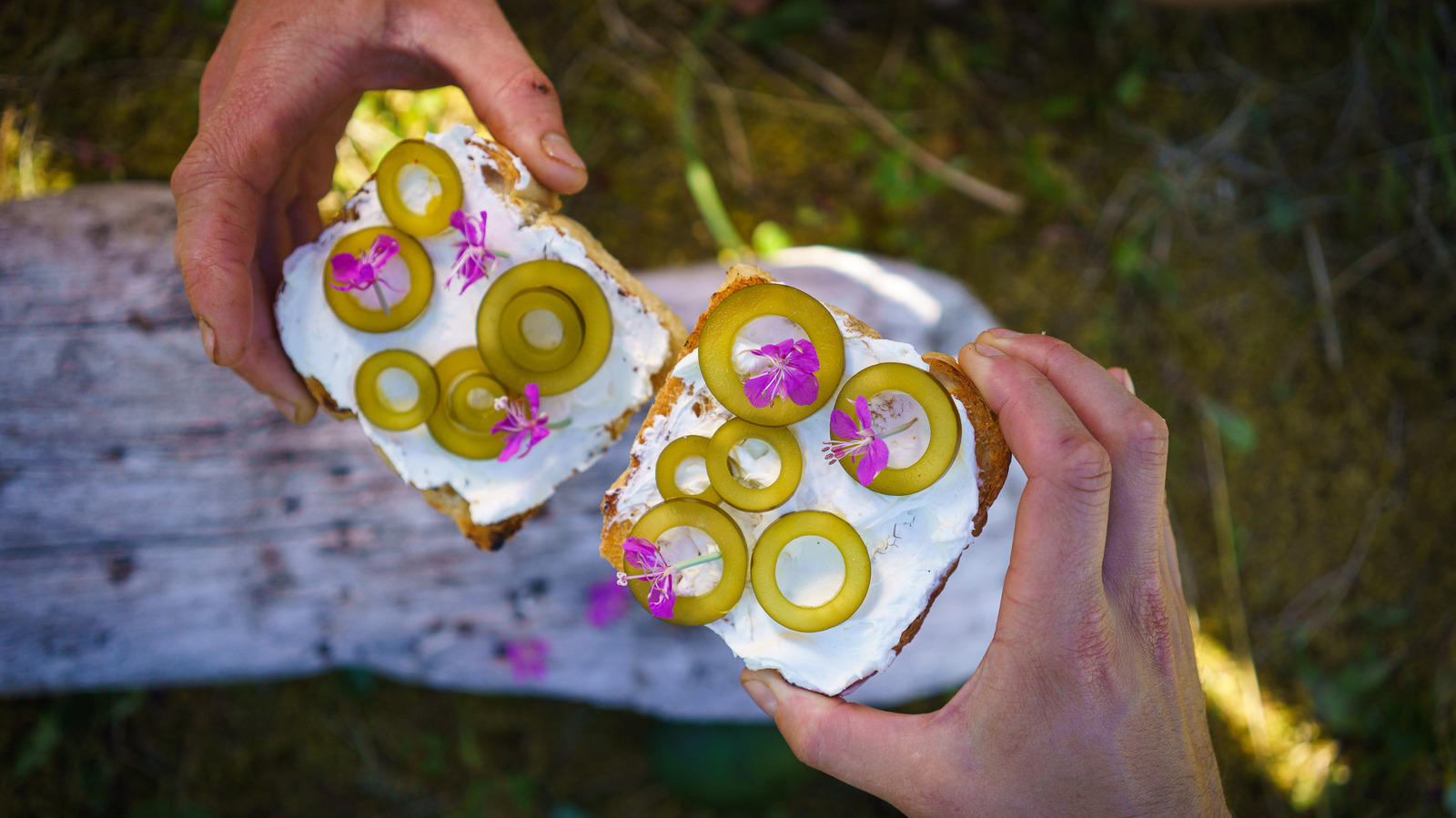What Are Kelp Pickles?