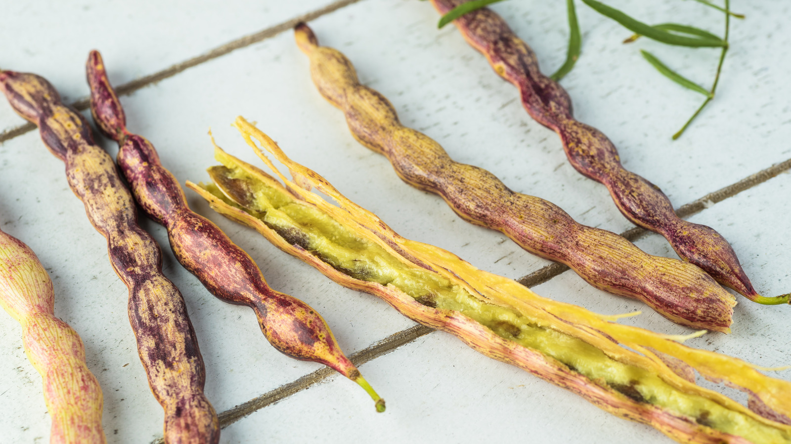 What Are Mesquite Beans And How Do You Cook Them