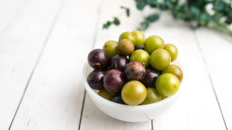Bowl of scuppernong grapes