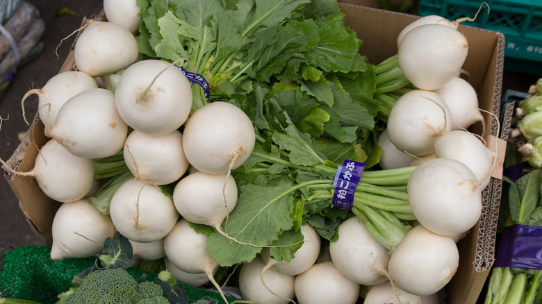 bunch of tokyo turnips