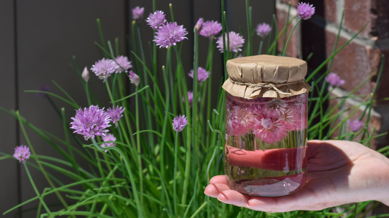 Woman holding chive blossom vinegar