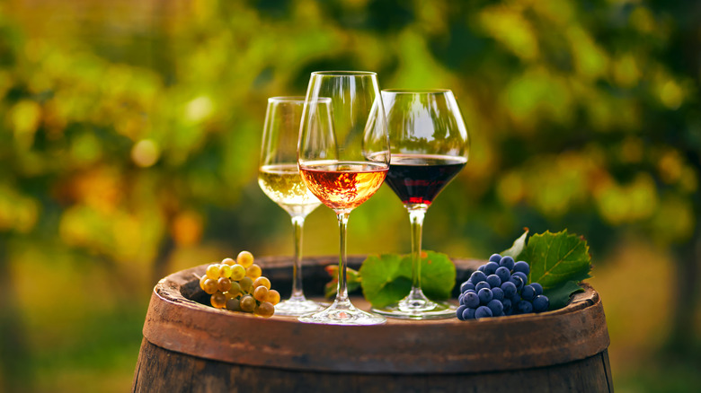 Glasses on wine in vineyard