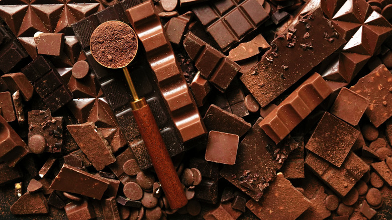 Assorted styles of chocolate with a scoop of cocoa powder sitting in top.