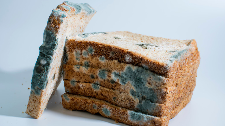 stacked slices of moldy bread