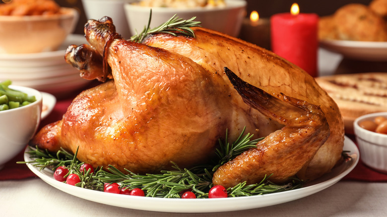 close up of roasted turkey with festive garnishes on white plate