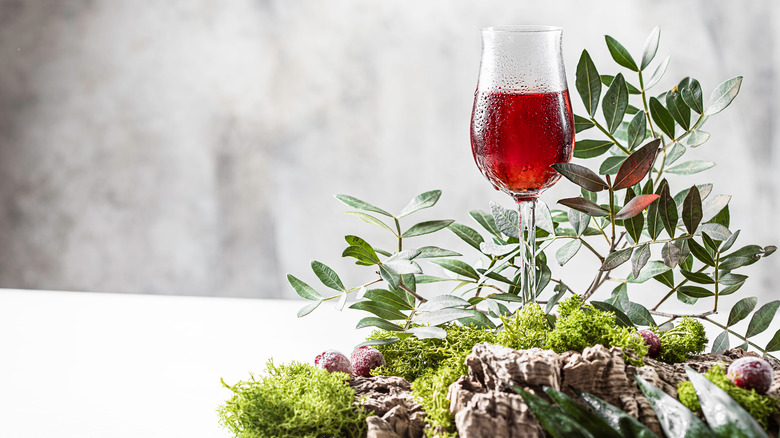 Cocktail on a shrub arrangement