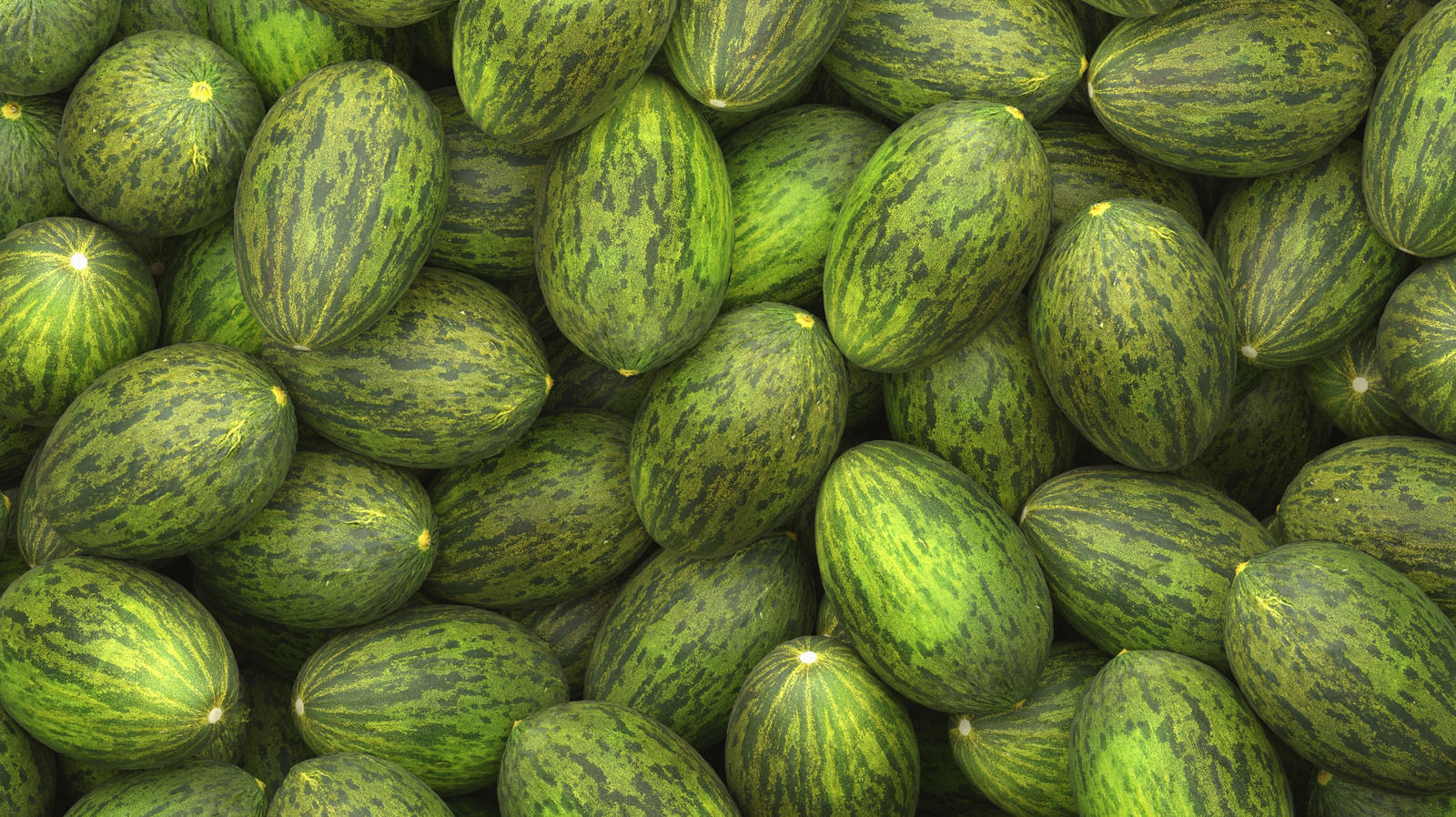 What Is A Santa Claus Melon And What Does It Taste Like 
