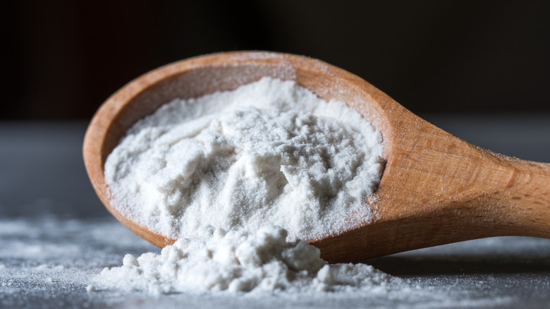 Close-up of white arrowroot powder in a spoon