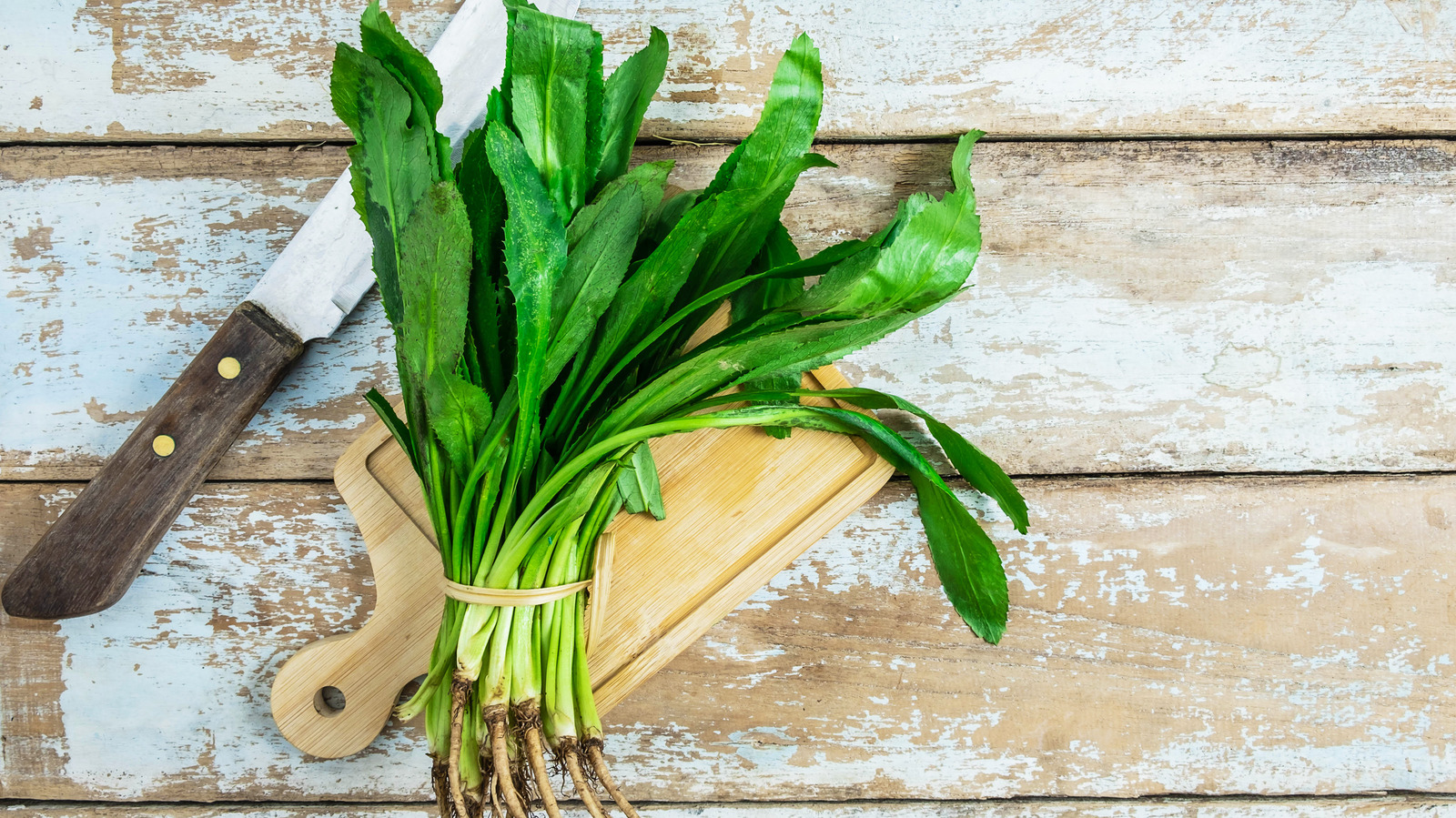 What Is Culantro And How Is It Different From Cilantro?