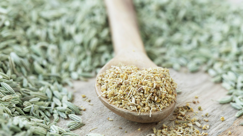 Spoonful of fennel pollen