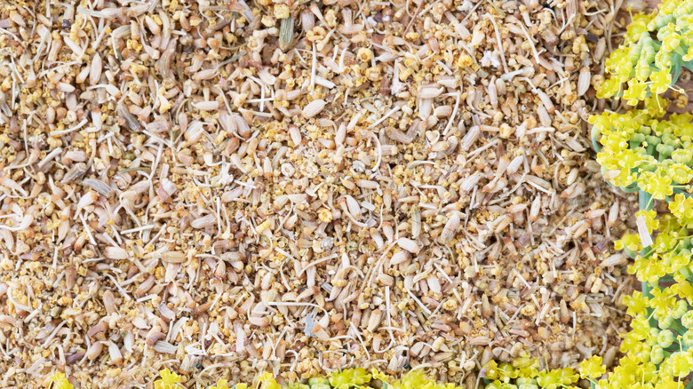 Fennel pollen and flowers