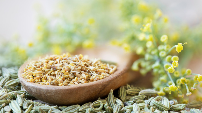 Fennel pollen in wooden spoon