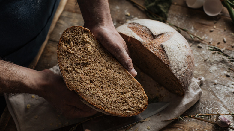 Hands holding rye bread