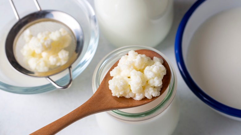 What Is The Difference Between Dairy Kefir And Water Kefir What Is The Difference Between Dairy Kefir And Water Kefir