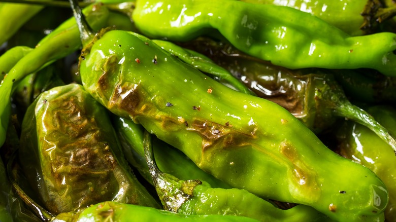 Blistered shishito peppers