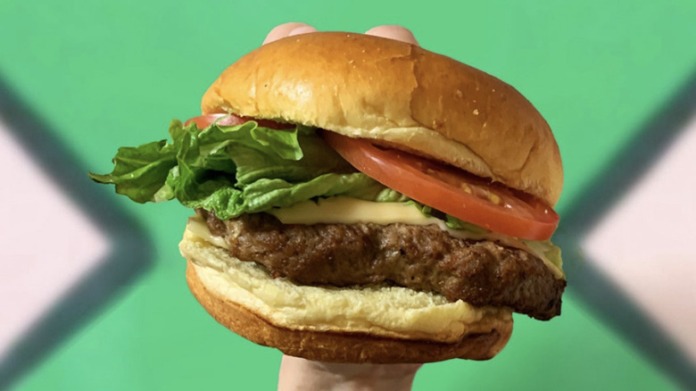 Wawa burger held by hand in front of green background